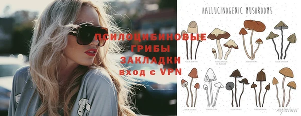 мдпв Снежногорск